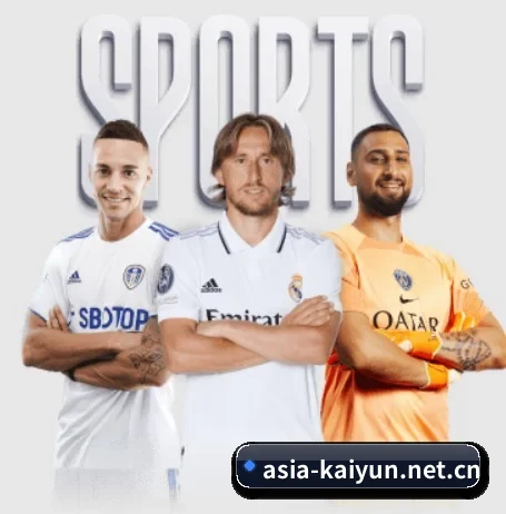 开云 APP 界面(kaiyun.com)